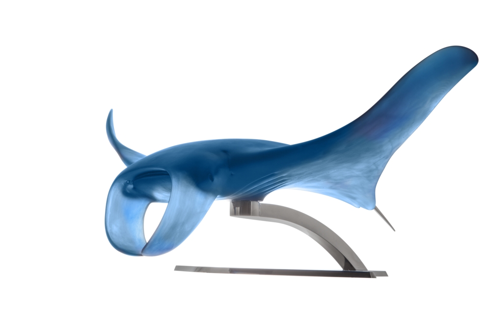 Xl manta ray by nuzzo umberto - Daum