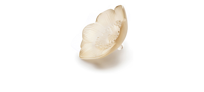 Anemone sculpture in gold luster crystal, small size gold luster - Lalique