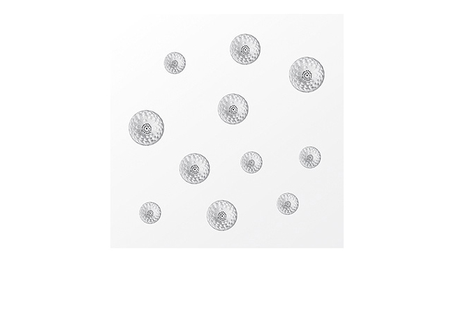 Dahlia interior panel in clear crystal, mirrored satin finish glass, medium size - Lalique