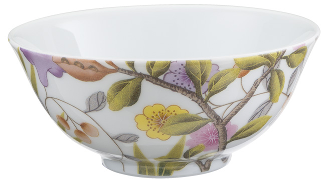 Rice bowl white background - Raynaud