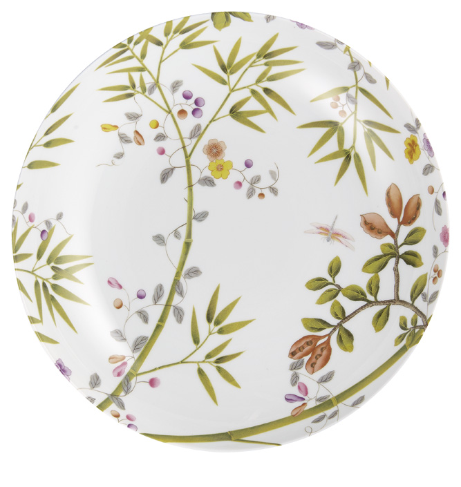 Rim soup plate white background - Raynaud