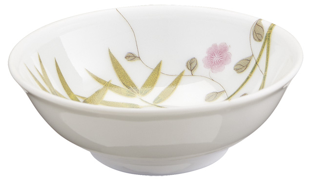 Soja dish white background - Raynaud
