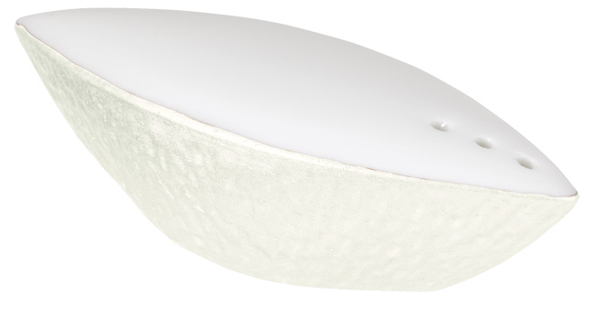 Salt shaker shell - Raynaud