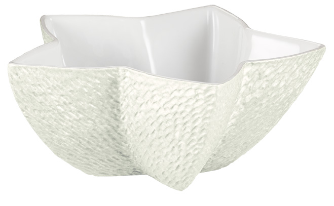 Star sugar bowl shell - Raynaud