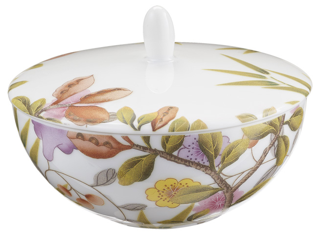 Sugar bowl white background - Raynaud