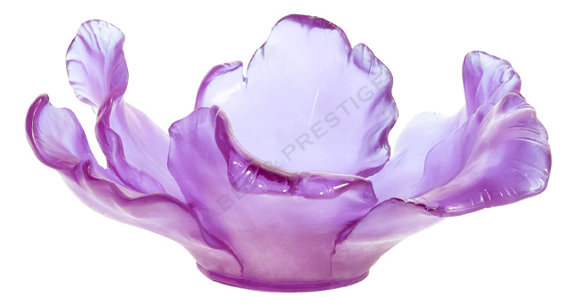 Uv cup - Daum