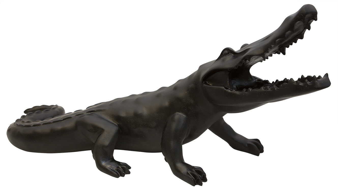 Wild black crocodile - Daum