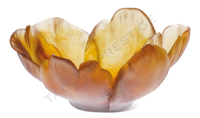 Amber cup - Daum
