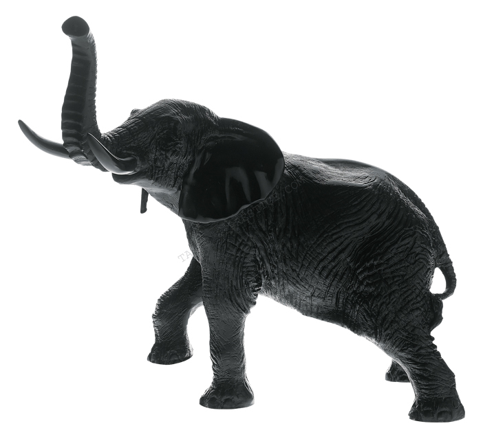 Black elephant black - Daum