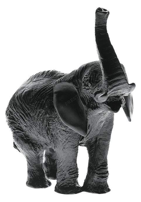 Black elephant black - Daum