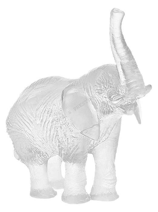 White elephant white - Daum