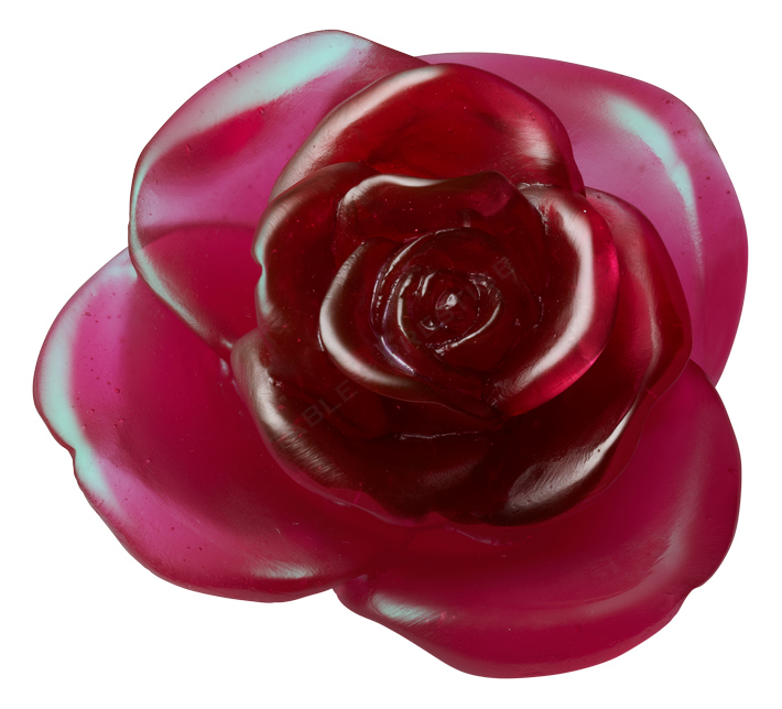 Red flower - Daum