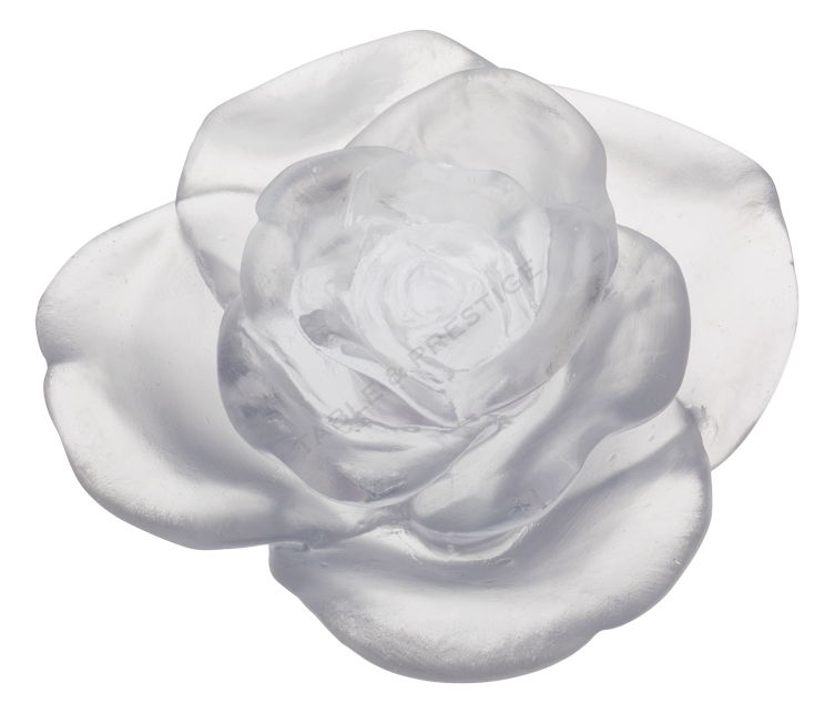 White flower - Daum