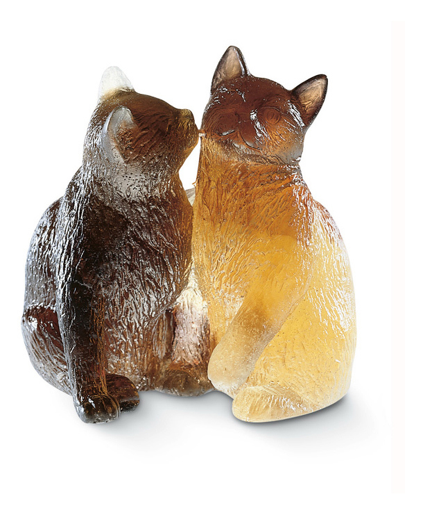Kittens - Daum