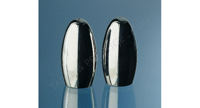 Salt & pepper shaker in a case (v)