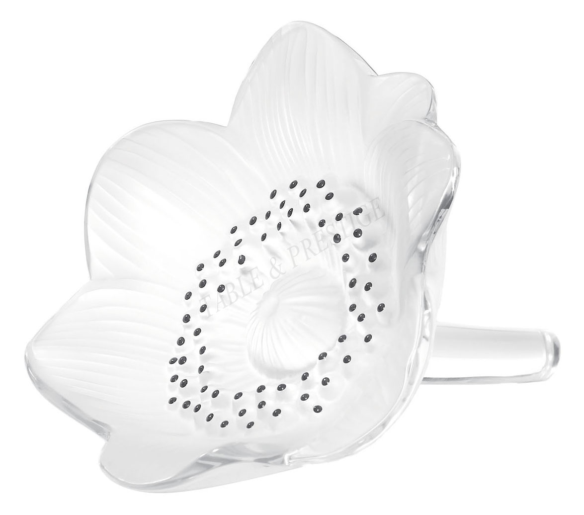 Anemone ornament Clear - Lalique