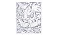 Merles et raisins head down decorative panel in clear crystal - Lalique