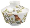 Chinese tea cup white background - Raynaud