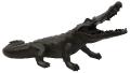 Wild black crocodile - Daum