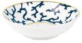 Bone dish - Raynaud