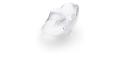 Anemone sculpture in clear crystal, small size clear - Lalique