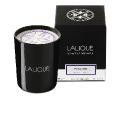 Fig tree, amalfi - italy, scented candle in 6. 5 oz. (190 g) - Lalique