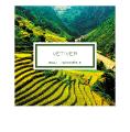 Vetiver, bali - indonesia, scented candle in 6. 5 oz. (190 g) - Lalique