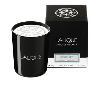 Poplar, aspen - united states, scented candle in 6. 5 oz. (190 g) - Lalique