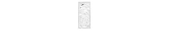 Roses decorative panel in clear crystal, small size - Lalique