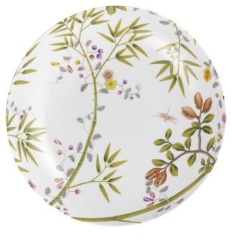 Rim soup plate white background - Raynaud