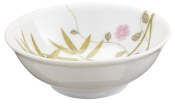 Soja dish white background - Raynaud