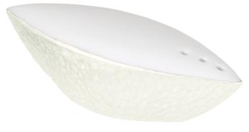 Salt shaker shell - Raynaud