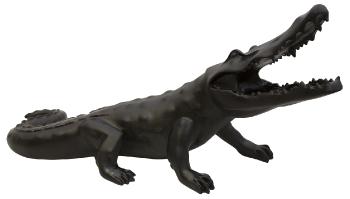 Wild black crocodile - Daum