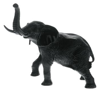 Black elephant black - Daum