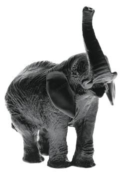 Black elephant black - Daum