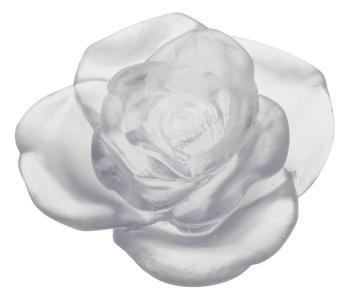 White flower - Daum