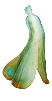 Lady ginkgo - Daum
