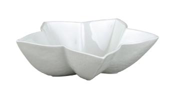 Star cup - Raynaud