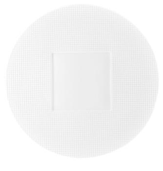Round buffet plate square center - Raynaud